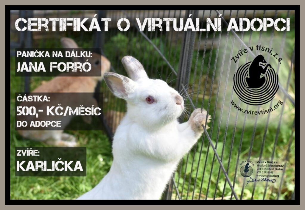 virtuálka Karličky